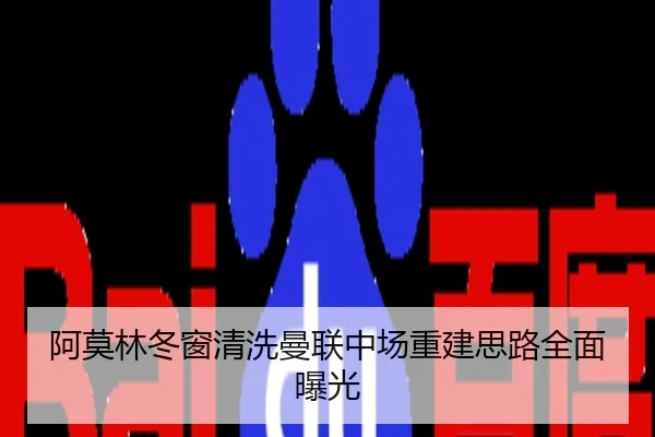 阿莫林冬窗清洗曼联中场重建思路全面曝光